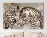 Zebras in Love Sepia Shadow Overlay Canvas Print // Zebra White Wood Background Canvas Print // Cuddles Between Two Zebras / Animals in Love