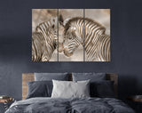 Zebras in Love Sepia Shadow Overlay Canvas Print // Zebra White Wood Background Canvas Print // Cuddles Between Two Zebras / Animals in Love