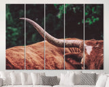 Texas Longhorn Canvas Print // Close-up Portrait of Reddish Brown Texas Longhorn Cow on farm resting // Farmhouse wall decor