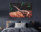 Texas Longhorn Canvas Print // Close-up Portrait of Reddish Brown Texas Longhorn Cow on farm resting // Farmhouse wall decor