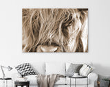Hairy Cow Portrait Sepia Canvas Print // Highland Cattle Portrait Wall Art // Highland Cow Sepia Canvas Wall Decor // Scottish Breed of Cow