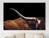 Texas Longhorn Canvas Print // Close-up Portrait of Reddish Brown Texas Longhorn Cow Black Background // Farmhouse wall decor