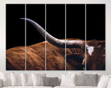 Texas Longhorn Canvas Print // Close-up Portrait of Reddish Brown Texas Longhorn Cow Black Background // Farmhouse wall decor