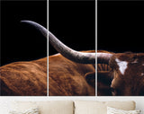 Texas Longhorn Canvas Print // Close-up Portrait of Reddish Brown Texas Longhorn Cow Black Background // Farmhouse wall decor