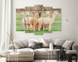 Cute Alpacas Canvas Print // Funny Looking White Alpacas at Farm // Farmhouse wall decor // Alpacas on a ranch on a farm