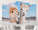 Lovely Alpacas Canvas Print // Two Lovely Alpacas In Winter // Farmhouse wall decor // Alpaca Portrait Print