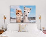 Lovely Alpacas Canvas Print // Two Lovely Alpacas In Winter // Farmhouse wall decor // Alpaca Portrait Print