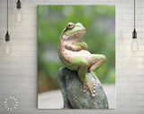 Frog Canvas Print // Green Frog Crossing His Arms Sitting On A Rock / The Lazy Call Of The Tree Frog Meme Canvas Wall Art / Funny Home Decor