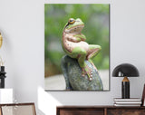 Frog Canvas Print // Green Frog Crossing His Arms Sitting On A Rock / The Lazy Call Of The Tree Frog Meme Canvas Wall Art / Funny Home Decor