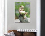 Frog Canvas Print // Green Frog Crossing His Arms Sitting On A Rock / The Lazy Call Of The Tree Frog Meme Canvas Wall Art / Funny Home Decor