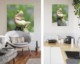 Frog Canvas Print // Green Frog Crossing His Arms Sitting On A Rock / The Lazy Call Of The Tree Frog Meme Canvas Wall Art / Funny Home Decor