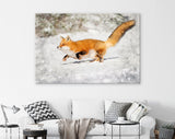 Chonky Fox Canvas Print // Red Fox Jumping Snow Wall Art // Cute Fox Home Decor // Adorably Round Fox Print