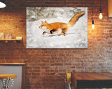 Chonky Fox Canvas Print // Red Fox Jumping Snow Wall Art // Cute Fox Home Decor // Adorably Round Fox Print