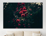 Roses Canvas Print // Rose Bush Wall Art // Rose Bush Dark Garden Home Decor