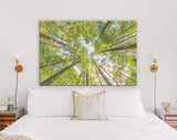 Forest Sky Canvas Print // The Sky in a Forest Wall Art // Summer Sky Shining Sun Wall Decor Canvas Print