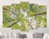 Forest Sky Canvas Print // The Sky in a Forest Wall Art // Summer Sky Shining Sun Wall Decor Canvas Print