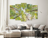 Forest Sky Canvas Print // The Sky in a Forest Wall Art // Summer Sky Shining Sun Wall Decor Canvas Print