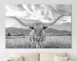 Longhorn Light Gray Canvas Print // Close-up Portrait of Texas Longhorn Cow // Black and White Home Decor // Neutral Farmhouse Wall Decor