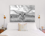 Longhorn Light Gray Canvas Print // Close-up Portrait of Texas Longhorn Cow // Black and White Home Decor // Neutral Farmhouse Wall Decor