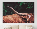 Texas Longhorn Canvas Print // Close-up Portrait of Reddish Brown Texas Longhorn Cow on farm resting // Farmhouse wall decor