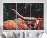 Texas Longhorn Canvas Print // Close-up Portrait of Reddish Brown Texas Longhorn Cow on farm resting // Farmhouse wall decor