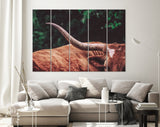 Texas Longhorn Canvas Print // Close-up Portrait of Reddish Brown Texas Longhorn Cow on farm resting // Farmhouse wall decor