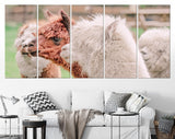 Four Alpacas Canvas Print // Funny Looking White And Brown Alpacas // Farmhouse wall decor // Alpaca Portrait Panorama Print
