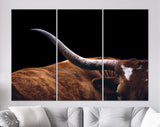 Texas Longhorn Canvas Print // Close-up Portrait of Reddish Brown Texas Longhorn Cow Black Background // Farmhouse wall decor