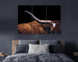 Texas Longhorn Canvas Print // Close-up Portrait of Reddish Brown Texas Longhorn Cow Black Background // Farmhouse wall decor