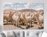Alpacas Canvas Print // Herd of Alpacas Grazing in Peru Cusco in the Andes Mountains // Funny Looking Alpacas // Nursery Wall Decor