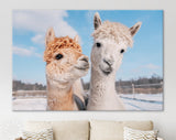 Lovely Alpacas Canvas Print // Two Lovely Alpacas In Winter // Farmhouse wall decor // Alpaca Portrait Print