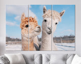 Lovely Alpacas Canvas Print // Two Lovely Alpacas In Winter // Farmhouse wall decor // Alpaca Portrait Print