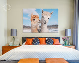 Lovely Alpacas Canvas Print // Two Lovely Alpacas In Winter // Farmhouse wall decor // Alpaca Portrait Print