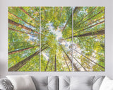 Forest Sky Canvas Print // The Sky in a Forest Wall Art // Summer Sky Shining Sun Wall Decor Canvas Print