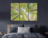 Forest Sky Canvas Print // The Sky in a Forest Wall Art // Summer Sky Shining Sun Wall Decor Canvas Print